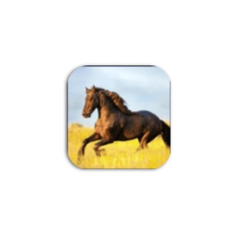 你的电视(yourtv) - 免登无广告的电视专属直播神器(2.2.9)-沐沐资源站